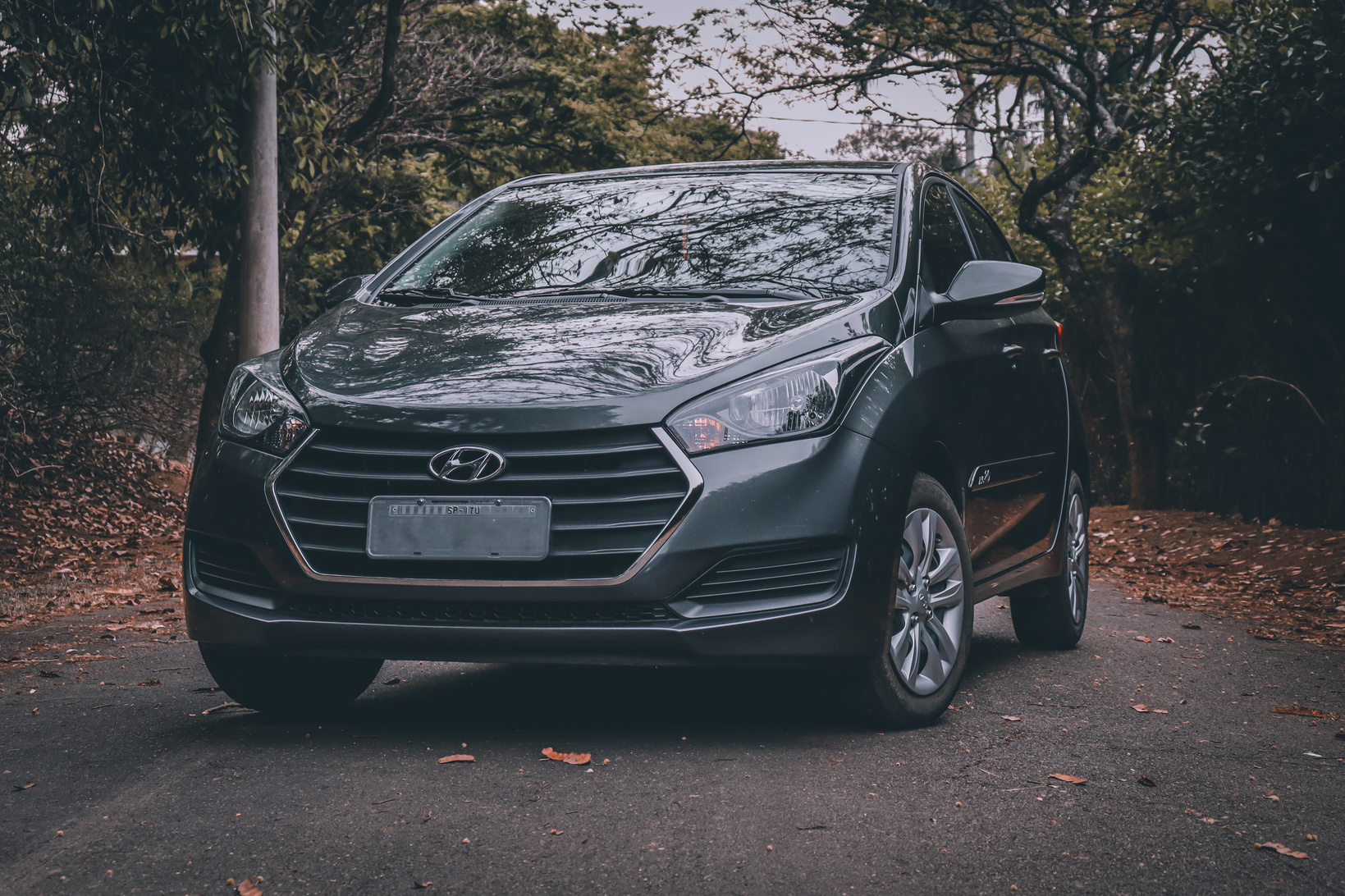 Black Hyundai Car Parked on the Road Between Trees